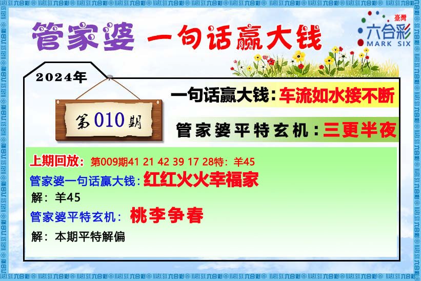 2024管家婆一肖一特,精选解释解析落实自定义版240.312