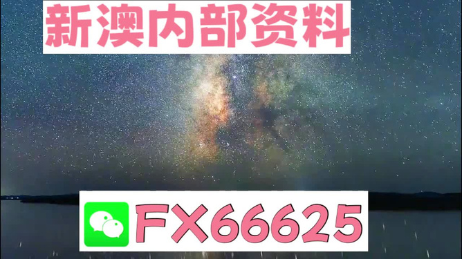 2024新澳天天彩免费资料大全查询,精选解释解析落实