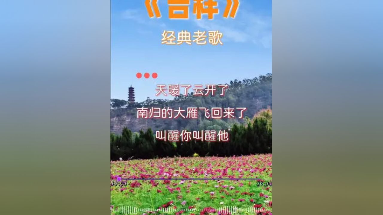 踏浪而行，五百首经典老歌回顾