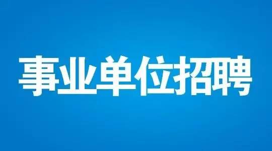 丰县招工需求，聚焦45岁至55岁人才的重要性与策略分析