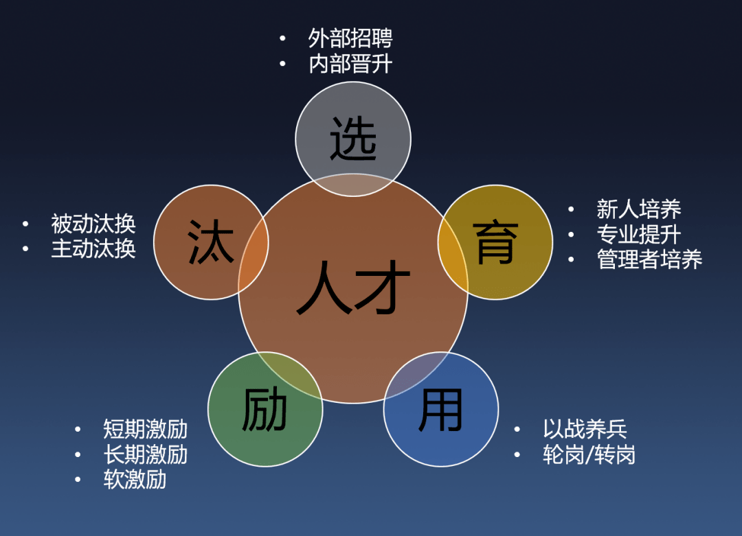 探索3S人才网，连接人才与机遇的桥梁